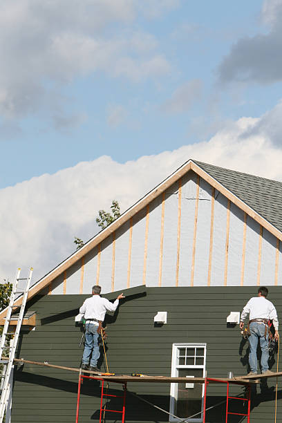 Best Vinyl Siding Installation  in Apollo Beach, FL